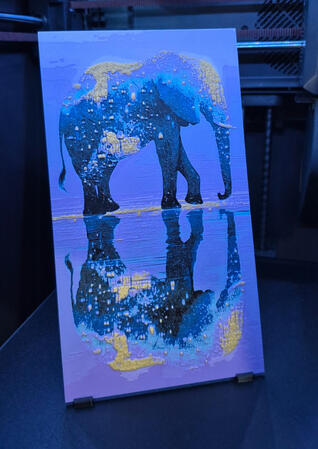 The Elephant The Elephant